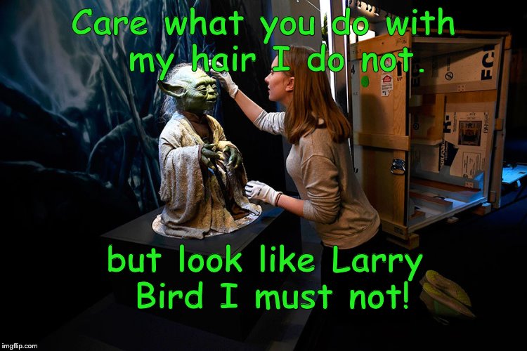 Yoda hitting on museum babe | Care what you do with  my hair I do not. but look like Larry Bird I must not! | image tagged in yoda hitting on museum babe | made w/ Imgflip meme maker