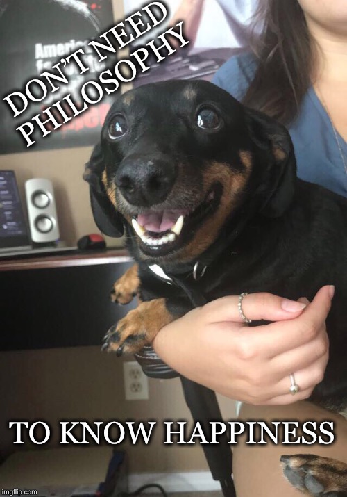 Smile :0) | DON’T NEED PHILOSOPHY; TO KNOW HAPPINESS | image tagged in philosophy,dog,happy,happiness,content,peaceful | made w/ Imgflip meme maker