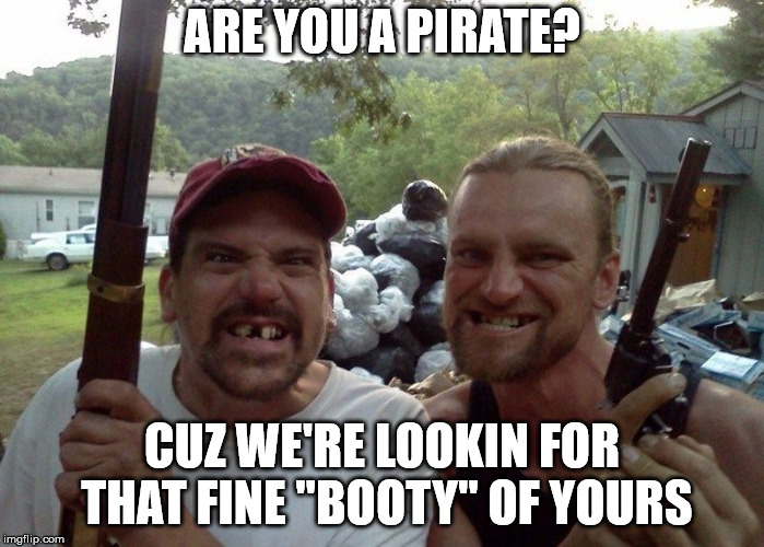 get the plot? | ARE YOU A PIRATE? CUZ WE'RE LOOKIN FOR THAT FINE "BOOTY" OF YOURS | image tagged in rednecks | made w/ Imgflip meme maker