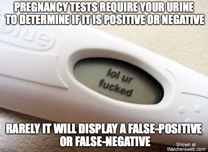 Pregnancy Tests | PREGNANCY TESTS REQUIRE YOUR URINE TO DETERMINE IF IT IS POSITIVE OR NEGATIVE; RARELY IT WILL DISPLAY A FALSE-POSITIVE OR FALSE-NEGATIVE | image tagged in pregnancy test,funny,memes | made w/ Imgflip meme maker