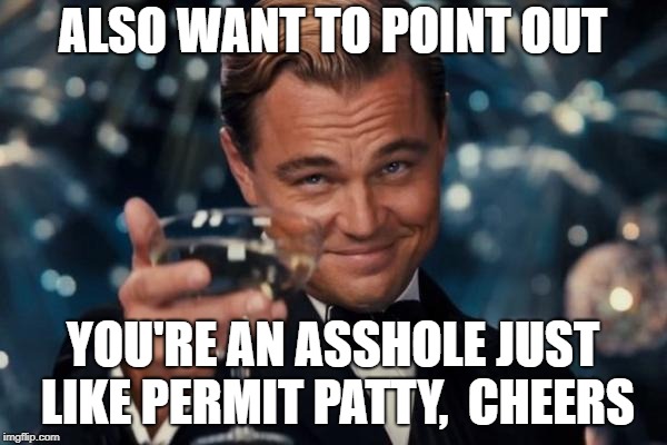 ALSO WANT TO POINT OUT YOU'RE AN ASSHOLE JUST LIKE PERMIT PATTY,  CHEERS | image tagged in memes,leonardo dicaprio cheers | made w/ Imgflip meme maker