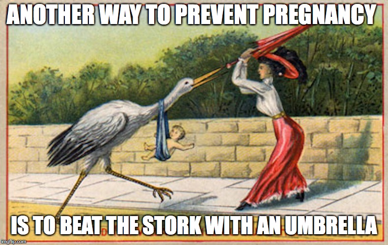 Victorian Postcard | ANOTHER WAY TO PREVENT PREGNANCY; IS TO BEAT THE STORK WITH AN UMBRELLA | image tagged in stork,memes,victorian | made w/ Imgflip meme maker