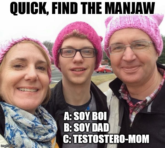 QUICK, FIND THE MANJAW; A: SOY BOI
             B: SOY DAD
                        C: TESTOSTERO-MOM | image tagged in manjaw - the quiz | made w/ Imgflip meme maker