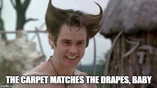 Ace Ventura Horns | THE CARPET MATCHES THE DRAPES, BABY | image tagged in ace ventura,jim carrey | made w/ Imgflip meme maker