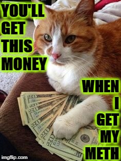 YOU'LL GET THIS MONEY; WHEN I GET MY METH | image tagged in you'll get the money | made w/ Imgflip meme maker