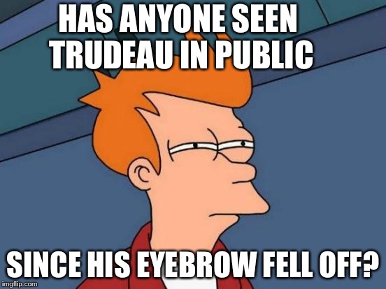 Hmmmmm | HAS ANYONE SEEN TRUDEAU IN PUBLIC; SINCE HIS EYEBROW FELL OFF? | image tagged in memes,futurama fry,justin trudeau,politics,trump,canada | made w/ Imgflip meme maker