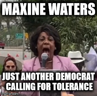 Violence & Hate is all they know | MAXINE WATERS; JUST ANOTHER DEMOCRAT CALLING FOR TOLERANCE | image tagged in maxine waters | made w/ Imgflip meme maker