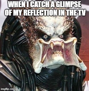 WHEN I CATCH A GLIMPSE OF MY REFLECTION IN THE TV | image tagged in predator | made w/ Imgflip meme maker
