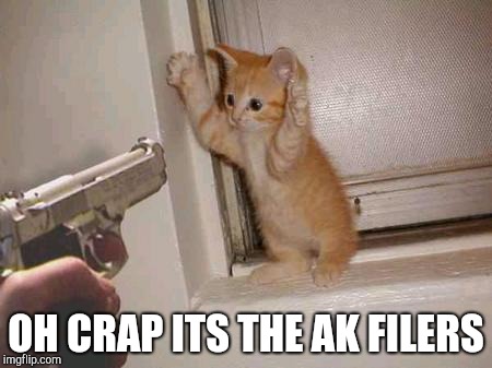 Cat Hostage | OH CRAP ITS THE AK FILERS | image tagged in cat hostage | made w/ Imgflip meme maker