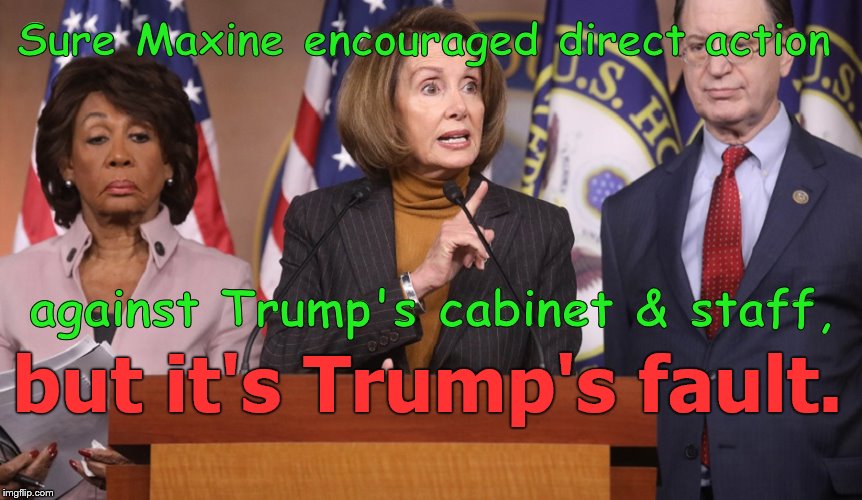 Ms. Pelosi won't endorse a new, lower level of political conflict. But she can blame Trump. In fact, she does. Again.  | Sure Maxine encouraged direct action; against Trump's cabinet & staff, but it's Trump's fault. | image tagged in pelosi explains,political meme,maxine waters,mad and angry maxine,direct action,douglie | made w/ Imgflip meme maker