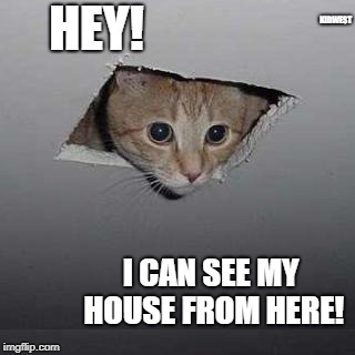 Ceiling Cat Meme | HEY! KIDWEST; I CAN SEE MY HOUSE FROM HERE! | image tagged in memes,ceiling cat | made w/ Imgflip meme maker