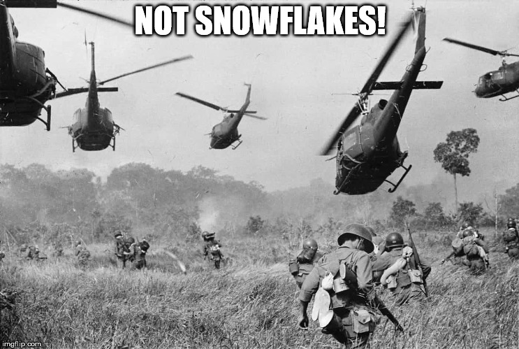 NOT SNOWFLAKES! | image tagged in not snowflakes | made w/ Imgflip meme maker