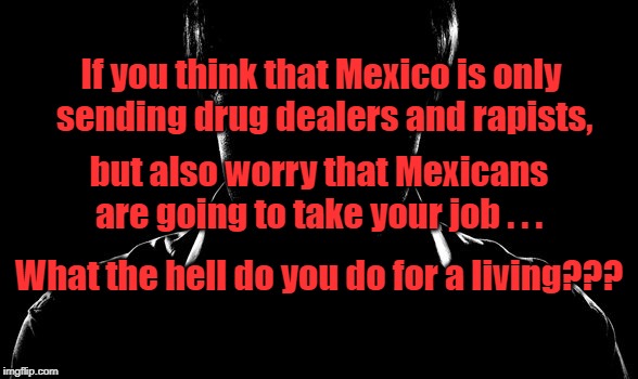 WTH | If you think that Mexico is only sending drug dealers and rapists, but also worry that Mexicans are going to take your job . . . What the hell do you do for a living??? | image tagged in political meme | made w/ Imgflip meme maker