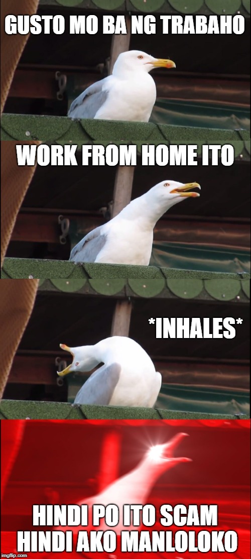 Inhaling Seagull | GUSTO MO BA NG TRABAHO; WORK FROM HOME ITO; *INHALES*; HINDI PO ITO SCAM HINDI AKO MANLOLOKO | image tagged in memes,inhaling seagull | made w/ Imgflip meme maker