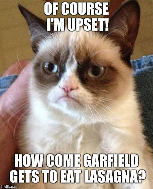 Grumpy Cat Meme | OF COURSE I'M UPSET! HOW COME GARFIELD GETS TO EAT LASAGNA? | image tagged in memes,grumpy cat | made w/ Imgflip meme maker