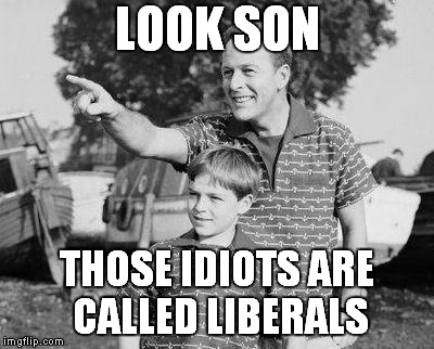 Look Son | LOOK SON; THOSE IDIOTS ARE CALLED LIBERALS | image tagged in memes,look son | made w/ Imgflip meme maker