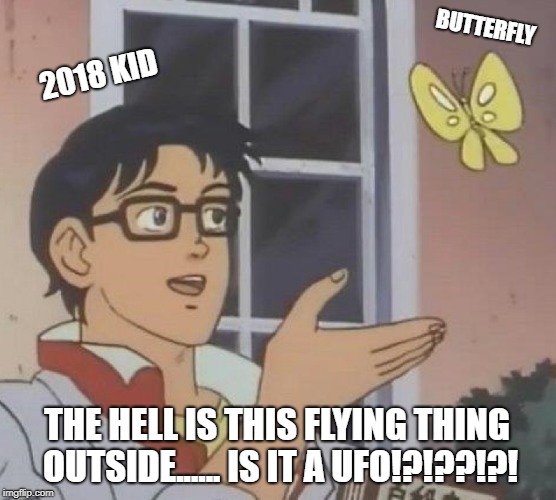 Is This A Pigeon Meme | BUTTERFLY; 2018 KID; THE HELL IS THIS FLYING THING OUTSIDE...... IS IT A UFO!?!??!?! | image tagged in memes,is this a pigeon | made w/ Imgflip meme maker