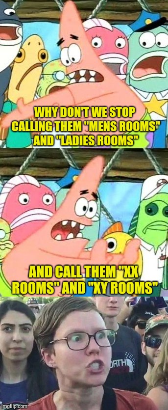 How many genders? | WHY DON'T WE STOP CALLING THEM "MENS ROOMS" AND "LADIES ROOMS"; AND CALL THEM "XX ROOMS" AND "XY ROOMS" | image tagged in put it somewhere else patrick,triggered feminist,triggered | made w/ Imgflip meme maker