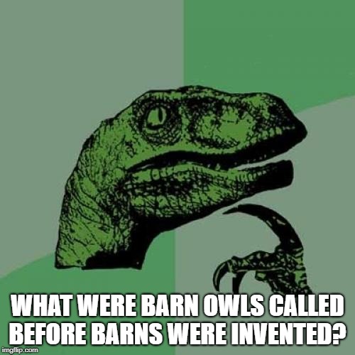 Philosoraptor | WHAT WERE BARN OWLS CALLED BEFORE BARNS WERE INVENTED? | image tagged in memes,philosoraptor | made w/ Imgflip meme maker