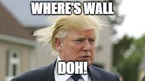 WHERE'S WALL; DOH! | image tagged in trump wall,where's waldo | made w/ Imgflip meme maker