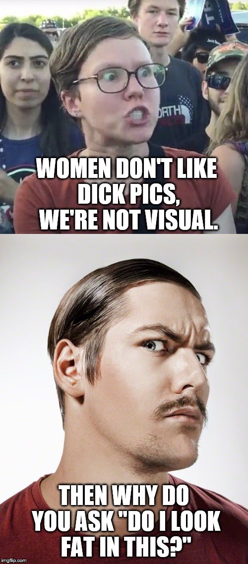 WOMEN DON'T LIKE DICK PICS, WE'RE NOT VISUAL. THEN WHY DO YOU ASK "DO I LOOK FAT IN THIS?" | image tagged in triggered feminist,not entirely convinced man | made w/ Imgflip meme maker
