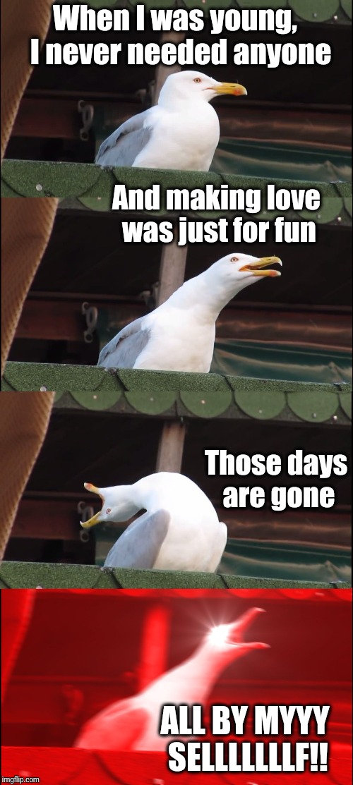 Did you wind up SINGING the last part? lol | When I was young,  I never needed anyone; And making love was just for fun; Those days are gone; ALL BY MYYY SELLLLLLLF!! | image tagged in memes,inhaling seagull | made w/ Imgflip meme maker
