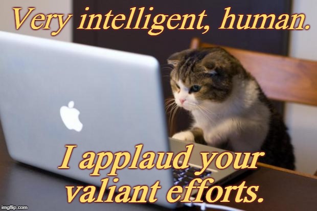 Cat using computer | Very intelligent, human. I applaud your valiant efforts. | image tagged in cat using computer | made w/ Imgflip meme maker