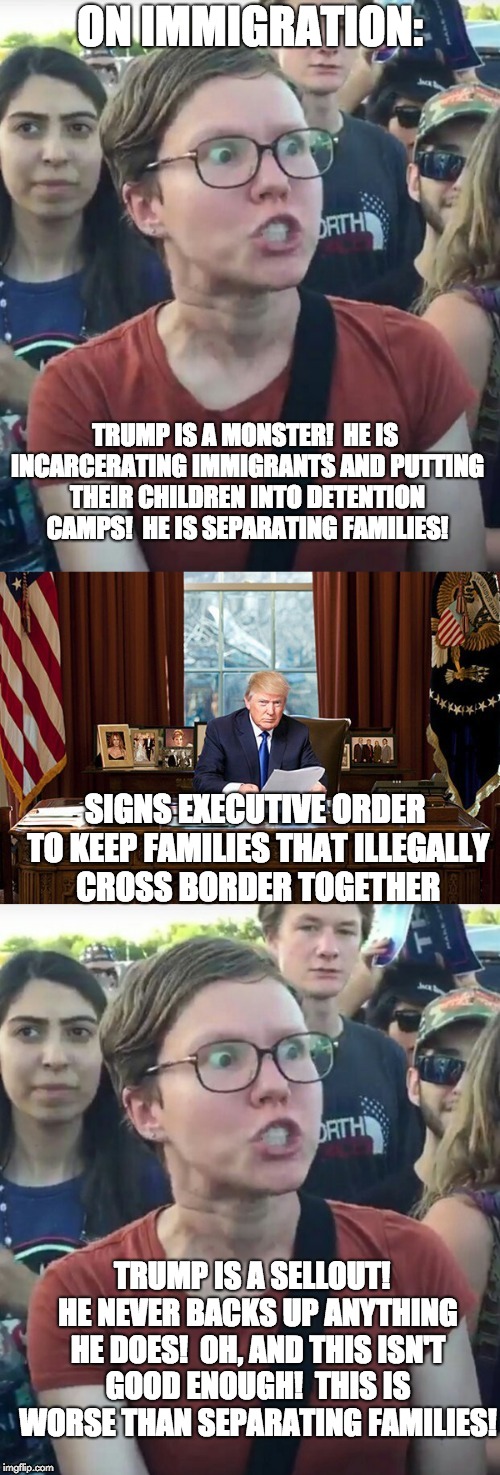 Liberal Hypocrisy: Illegal Immigration | ON IMMIGRATION:; TRUMP IS A MONSTER!  HE IS INCARCERATING IMMIGRANTS AND PUTTING THEIR CHILDREN INTO DETENTION CAMPS!  HE IS SEPARATING FAMILIES! SIGNS EXECUTIVE ORDER TO KEEP FAMILIES THAT ILLEGALLY CROSS BORDER TOGETHER; TRUMP IS A SELLOUT!  HE NEVER BACKS UP ANYTHING HE DOES!  OH, AND THIS ISN'T GOOD ENOUGH!  THIS IS WORSE THAN SEPARATING FAMILIES! | image tagged in liberal hypocrisy,libtards,liberal logic,donald trump,illegal immigration | made w/ Imgflip meme maker