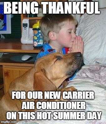boy and dog praying | BEING THANKFUL; FOR OUR NEW CARRIER AIR CONDITIONER ON THIS HOT SUMMER DAY | image tagged in boy and dog praying | made w/ Imgflip meme maker