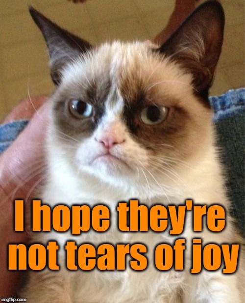 Grumpy Cat Meme | I hope they're not tears of joy | image tagged in memes,grumpy cat | made w/ Imgflip meme maker