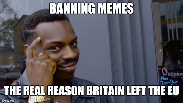 Roll Safe Think About It Meme | BANNING MEMES THE REAL REASON BRITAIN LEFT THE EU | image tagged in memes,roll safe think about it | made w/ Imgflip meme maker