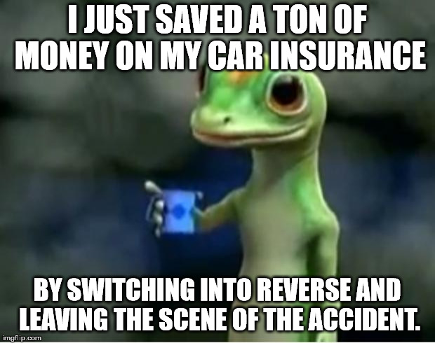 Geico Gecko | I JUST SAVED A TON OF MONEY ON MY CAR INSURANCE; BY SWITCHING INTO REVERSE AND LEAVING THE SCENE OF THE ACCIDENT. | image tagged in geico gecko | made w/ Imgflip meme maker