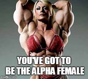 YOU'VE GOT TO BE THE ALPHA FEMALE | made w/ Imgflip meme maker