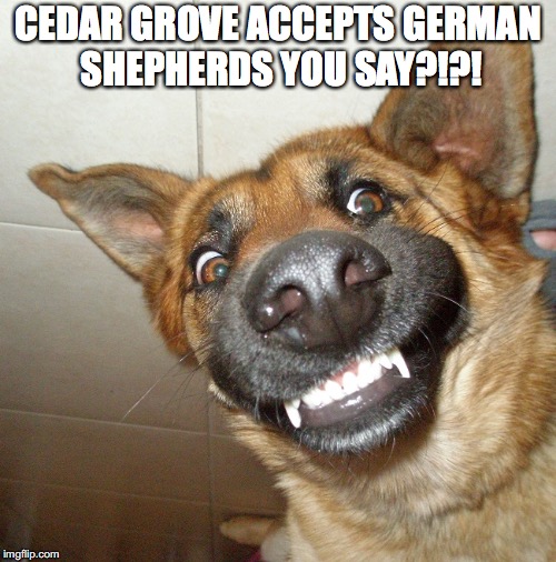 CEDAR GROVE ACCEPTS GERMAN SHEPHERDS YOU SAY?!?! | made w/ Imgflip meme maker