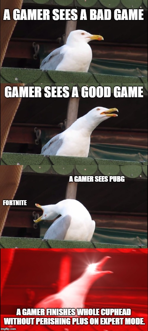 Inhaling Seagull Meme | A GAMER SEES A BAD GAME; GAMER SEES A GOOD GAME; A GAMER SEES PUBG; FORTNITE; A GAMER FINISHES WHOLE CUPHEAD WITHOUT PERISHING PLUS ON EXPERT MODE. | image tagged in memes,inhaling seagull | made w/ Imgflip meme maker