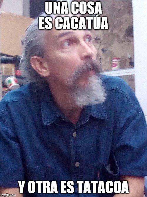 UNA COSA ES CACATÚA; Y OTRA ES TATACOA | made w/ Imgflip meme maker