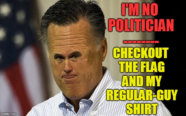 You can't kill bad grass, but you can re-elect it | CHECKOUT THE FLAG AND MY REGULAR-GUY SHIRT; I'M NO POLITICIAN -------- | image tagged in vince vance,mitt romney,political meme,politicians suck,corrupt politician,a regular guy | made w/ Imgflip meme maker