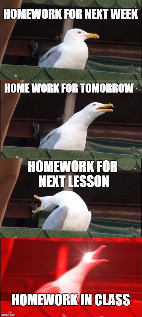 Inhaling Seagull Meme | HOMEWORK FOR NEXT WEEK; HOME WORK FOR TOMORROW; HOMEWORK FOR NEXT LESSON; HOMEWORK IN CLASS | image tagged in memes,inhaling seagull | made w/ Imgflip meme maker