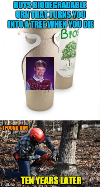Can't win. Even in the next life | BUYS BIODEGRADABLE URN THAT TURNS YOU INTO A TREE WHEN YOU DIE; I FOUND HIM; TEN YEARS LATER | image tagged in memes,bad luck brian,death,lumberjack,funeral | made w/ Imgflip meme maker