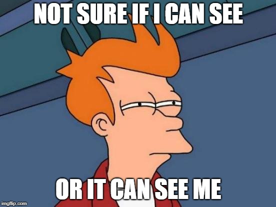 Futurama Fry | NOT SURE IF I CAN SEE; OR IT CAN SEE ME | image tagged in memes,futurama fry | made w/ Imgflip meme maker