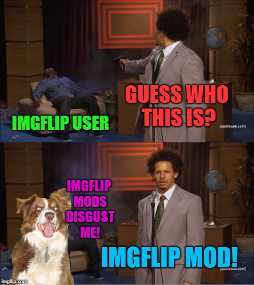 Who Killed Hannibal | GUESS WHO THIS IS? IMGFLIP USER; IMGFLIP MODS DISGUST ME! IMGFLIP MOD! | image tagged in memes,who killed hannibal,chili the border collie,dogs,border collie,imgflip mods | made w/ Imgflip meme maker