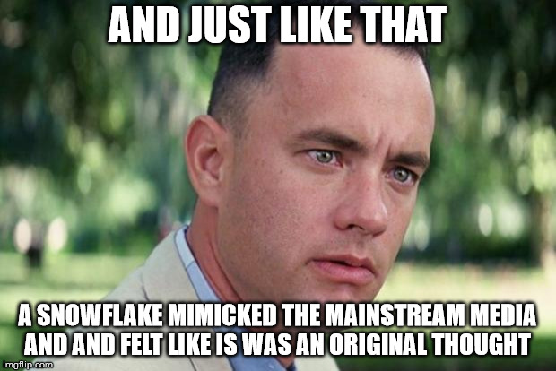 And Just Like That Meme | AND JUST LIKE THAT; A SNOWFLAKE MIMICKED THE MAINSTREAM MEDIA AND AND FELT LIKE IS WAS AN ORIGINAL THOUGHT | image tagged in forrest gump | made w/ Imgflip meme maker