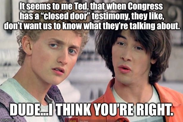 Bill & Ted on Congress