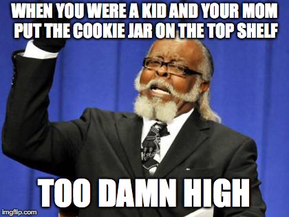 Childhood Struggles | WHEN YOU WERE A KID AND YOUR MOM PUT THE COOKIE JAR ON THE TOP SHELF; TOO DAMN HIGH | image tagged in memes,too damn high | made w/ Imgflip meme maker