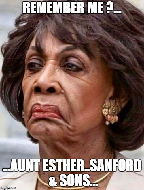 Aunt Esther | REMEMBER ME ?... ...AUNT ESTHER..SANFORD & SONS... | image tagged in maxine waters,sanford and sons,aunt esther | made w/ Imgflip meme maker