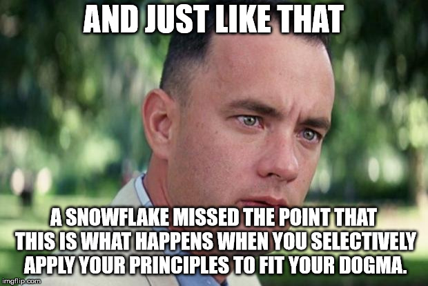 And Just Like That Meme | AND JUST LIKE THAT; A SNOWFLAKE MISSED THE POINT THAT THIS IS WHAT HAPPENS WHEN YOU SELECTIVELY APPLY YOUR PRINCIPLES TO FIT YOUR DOGMA. | image tagged in forrest gump | made w/ Imgflip meme maker
