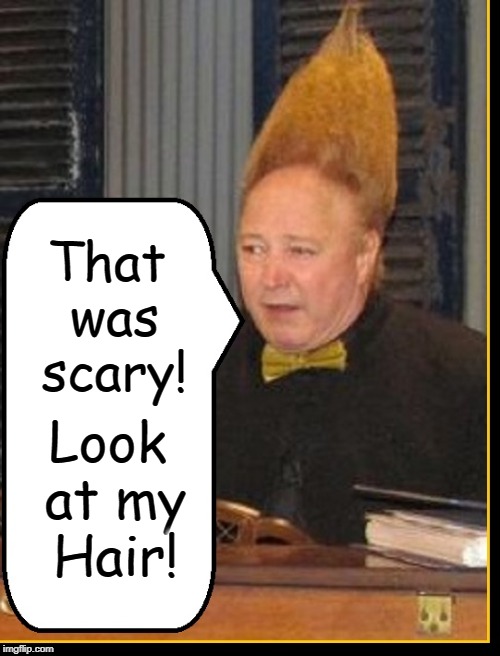Never thought they'd Protest to take their own Rights Away | That was scary! Look at my Hair! | image tagged in free speech,nra,gun laws,vince vance,hair-raising,tall hair dude | made w/ Imgflip meme maker