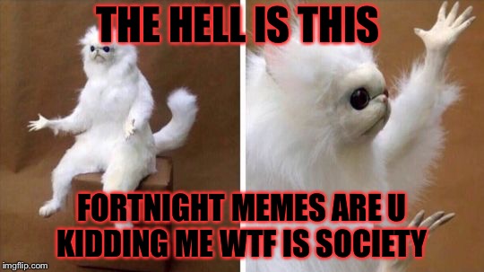 Wtf Cat | THE HELL IS THIS; FORTNIGHT MEMES ARE U KIDDING ME WTF IS SOCIETY | image tagged in wtf cat | made w/ Imgflip meme maker