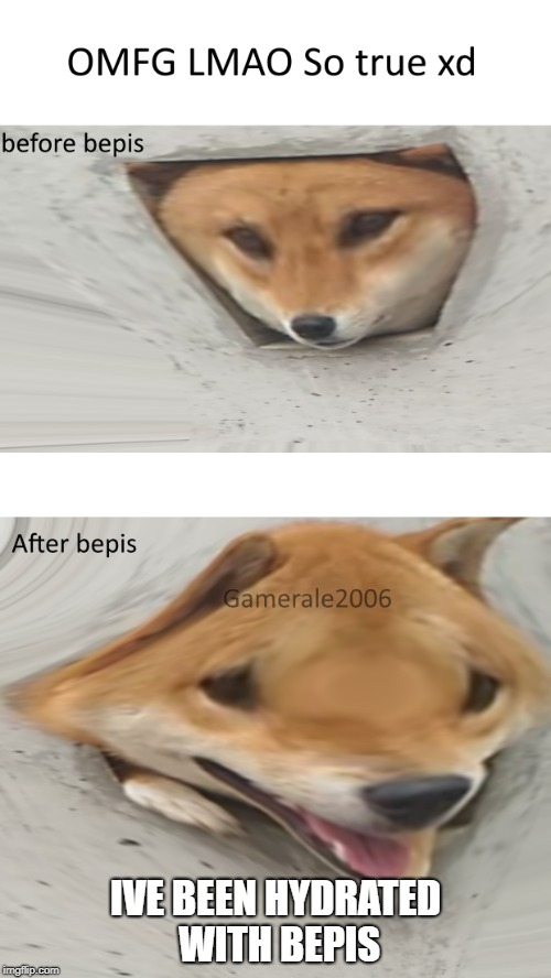 I can agree | IVE BEEN HYDRATED WITH BEPIS | image tagged in bepis,doggo,dank,dank memes,before after,before and after | made w/ Imgflip meme maker