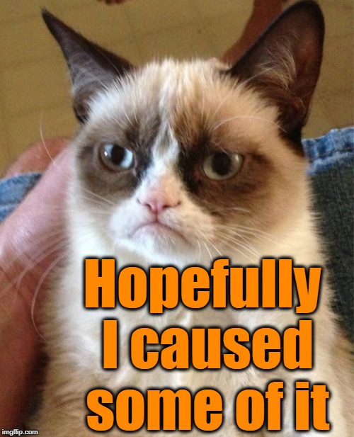 Grumpy Cat Meme | Hopefully I caused some of it | image tagged in memes,grumpy cat | made w/ Imgflip meme maker